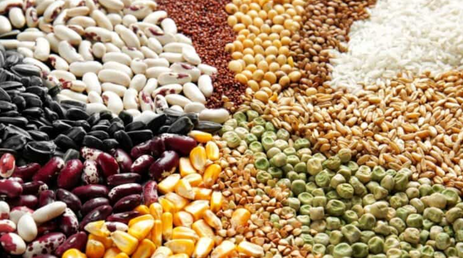 Dry Goods: Grains, Legumes, Spices, and Baking Supplies.